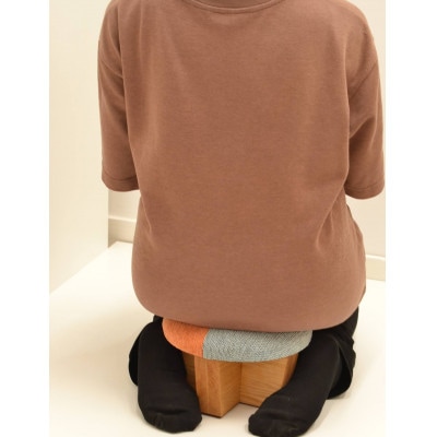 正座椅子　柄:Dタイプ