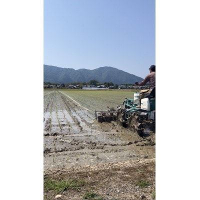 令和7年産「伊彌彦米 零(ぜろ)」玄米10kg(5kg×2袋) 農薬・化学肥料不使用 新潟県 弥彦村