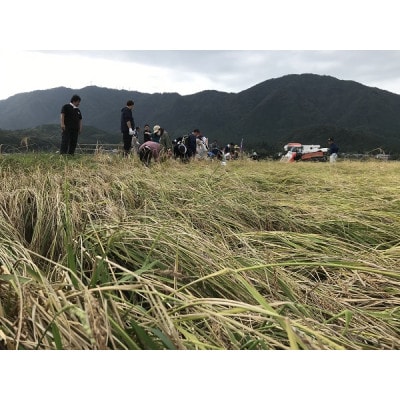 「ヨシカワ郷技 タンブラー(300ml)1個」×弥彦酒造「彌彦愛国 純米吟醸 720ml」1本セット