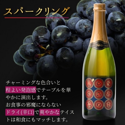 弥彦村産ぶどう　赤ワイン・マスカットベイリーA 　弥彦セット