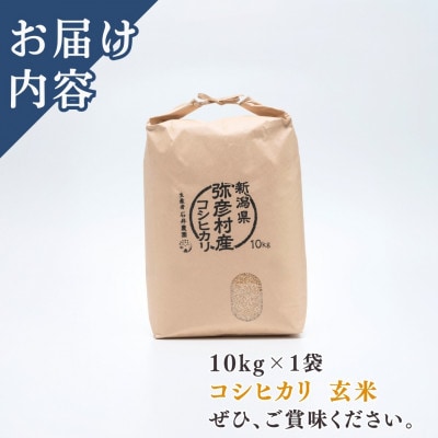 新潟県弥彦村石井農園　令和7年産コシヒカリ【玄米 10kg】