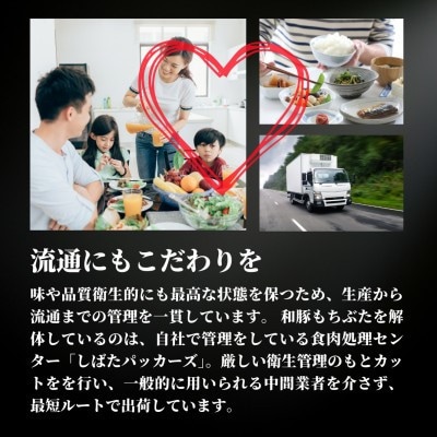 越後もちぶたロース薄切り1kg(500g×2パック)【配送不可地域：離島】