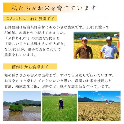 【乾燥米こうじ 500g×12袋】新潟県弥彦村 石井農園 新潟県認証特別栽培米 コシヒカリ使用