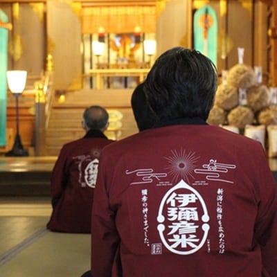 2022年2月発送開始『定期便』特別栽培米コシヒカリ「伊彌彦米」10kg　全3回