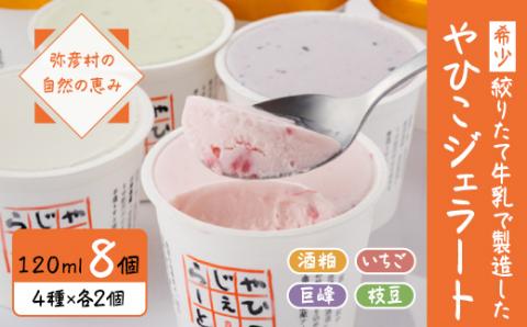 【希少】絞りたて牛乳で製造した『やひこジェラート』酒粕 いちご 巨峰 枝豆 新潟県 弥彦村【配送不可地域：離島】