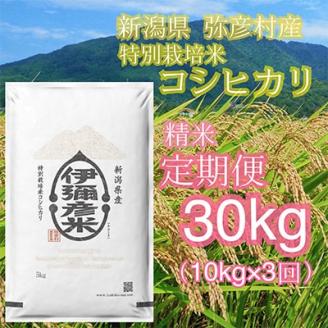 【毎月定期便】特別栽培米コシヒカリ「伊彌彦米」10kg全3回