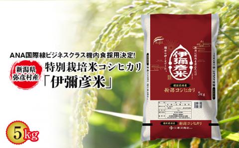 令和7年産特別栽培米コシヒカリ「伊彌彦米」5kg