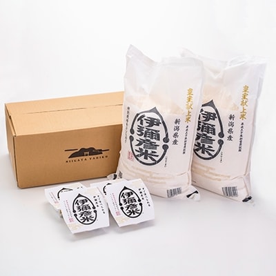 【伊彌彦米とパックごはんセット】精米5kg×2袋 パックごはん4パック ブランド米 新潟県 弥彦村