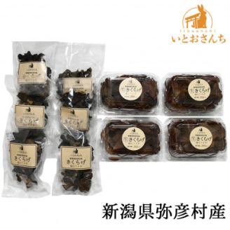 新潟県弥彦村産　越のうさぎ 　生きくらげ250g×4、乾燥きくらげ25g×6　詰め合せセット【配送不可地域：離島】