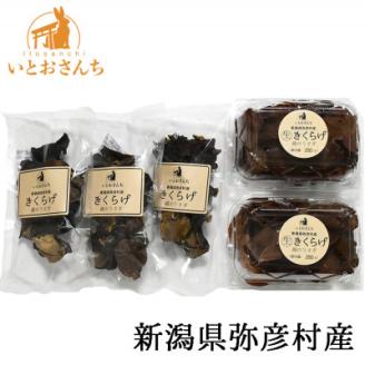新潟県弥彦村産　越のうさぎ 　生きくらげ250g×2、乾燥きくらげ25g×3　詰め合せセット【配送不可地域：離島】
