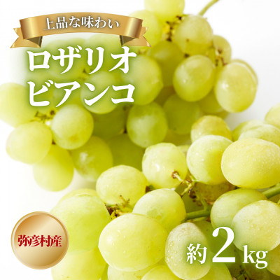 【上品な味わい】弥彦村農家のこだわりの逸品「ロザリオビアンコ」 約2kg ぶどう 新潟県 弥彦村【配送不可地域：離島】