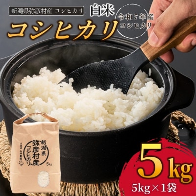 新潟県弥彦村石井農園　令和7年産コシヒカリ【白米 5kg】