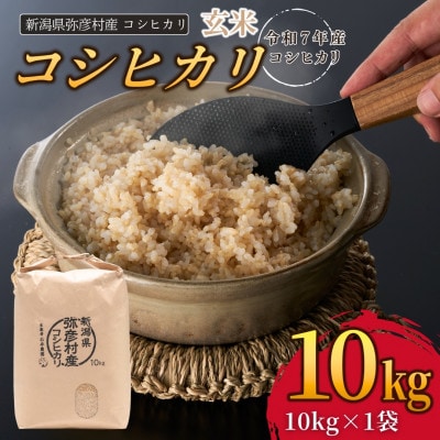 新潟県弥彦村石井農園　令和7年産コシヒカリ【玄米 10kg】
