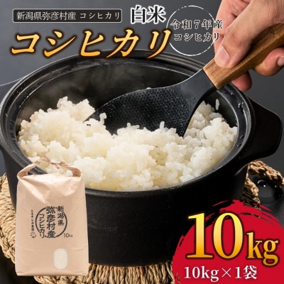 新潟県弥彦村石井農園　令和7年産コシヒカリ【白米 10kg】