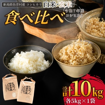 新県弥彦村石井農園　令和7年産コシヒカリ白米・玄米 食べ比べセット【白米5kg、玄米5kg】