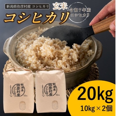 新潟県弥彦村石井農園　令和7年産 コシヒカリ【玄米 20kg】