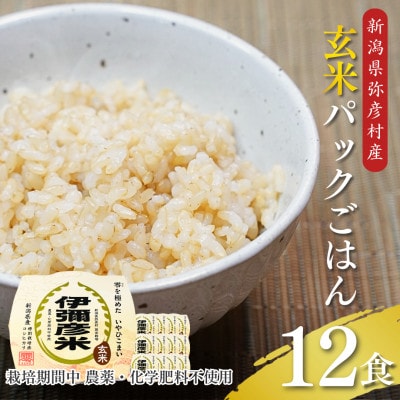 【伊彌彦米零玄米パックごはん】皇室献上米　150g入り×12パック