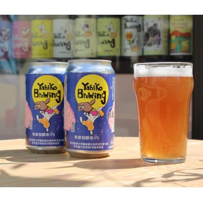 弥彦ブリューイング　弥彦桜酵母IPA　東京農業大学醸造微生物学部分離酵母　弥彦桜5号使用　缶発泡酒