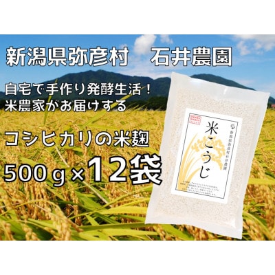【乾燥米こうじ 500g×12袋】新潟県弥彦村 石井農園 新潟県認証特別栽培米 コシヒカリ使用