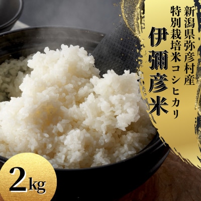 【お試し】令和7年産 特別栽培米コシヒカリ「伊彌彦米」精米 2kg 新潟県産弥彦村