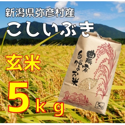 新潟県弥彦村石井農園　令和7年産 こしいぶき【玄米 5kg】