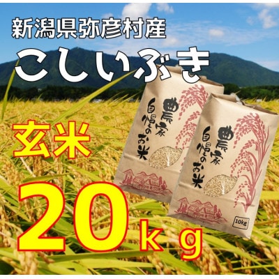 新潟県弥彦村石井農園　令和7年産 こしいぶき【玄米 20kg】
