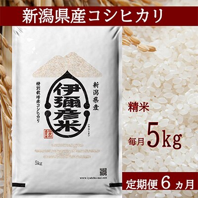 2022年11月発送開始『定期便』【令和4年産】特別栽培米コシヒカリ「伊彌彦米」5kg全6回