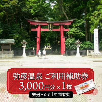 弥彦温泉ご利用補助券　3,000円分
