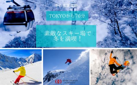 旅行ツアークーポン(90,000円分)【ゆっくり選べるWebカタログ】事前予約 ふるさと納税 新潟県 湯沢町 スキー リゾート ホテル 旅館 旅行券 宿泊券 宿泊 チケット 観光 国内旅行 レジャー