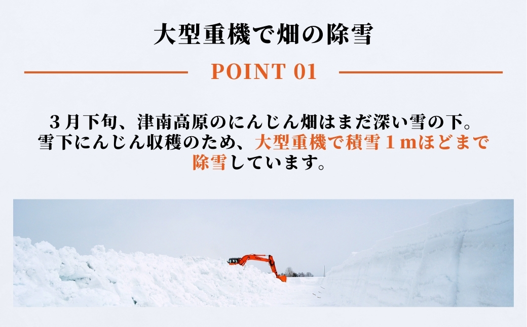 【令和8年産先行予約】津南の雪下にんじん 1.5kg ＆豪雪津南にんじんジュース 1L セット 新潟県 津南町 旭商事株式会社 127531-015