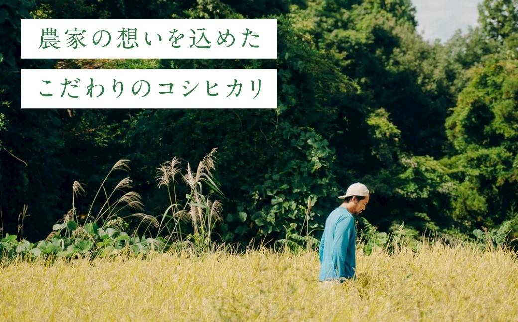 令和7年産 魚沼産コシヒカリ「亀福 原点復帰米」10kg(5kg×2袋) (特別栽培米) 新潟県 津南町 株式会社亀福 155399-006