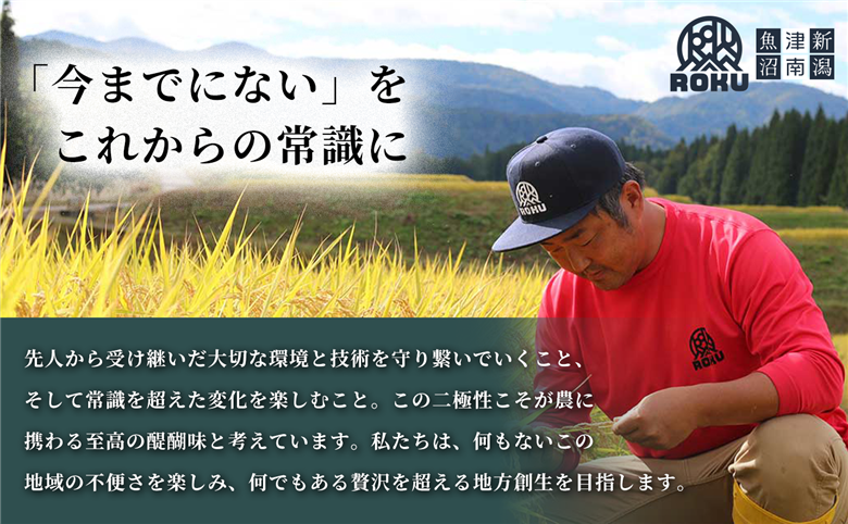 雪下にんじんジュース 200ml（20本1箱） 果汁MIXタイプ 200ml（20本1箱） 定期便・全12回 新潟県 津南町 155751-053