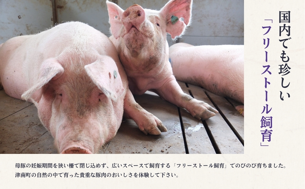 鬼の宝ポークしゃぶしゃぶ食べ比べセット 600g ( ロース・肩ロース・バラ肉 各200g ) 156511-002