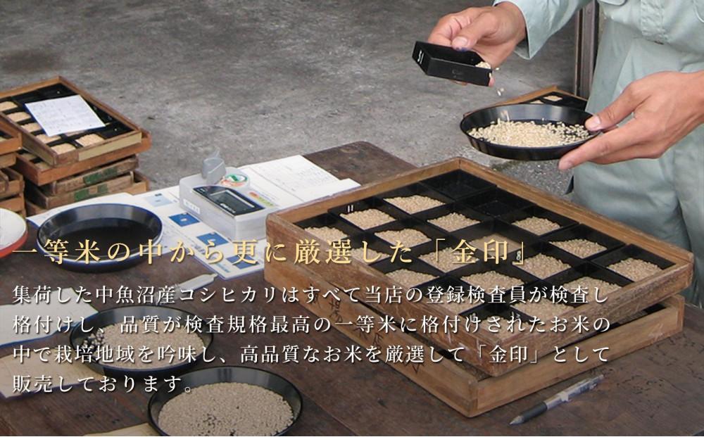 【12ヶ月定期便】令和7年産 魚沼産コシヒカリ「金印」高食味米 5kg×全12回127534-023