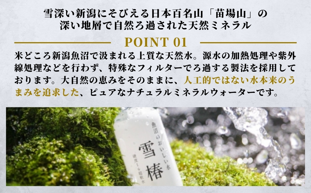 【6ヶ月定期便】雪椿の天然水 2L×6本127527-002