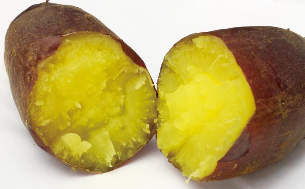 極み熟成 甘党農家のシルクスイート 10kg「クイーンシルク」127538-002