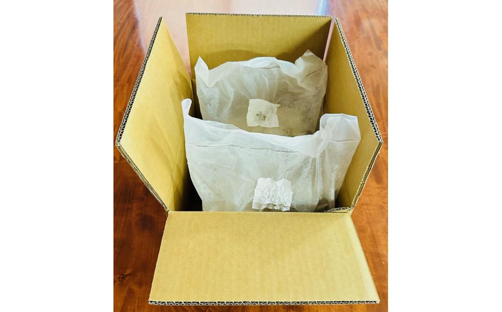 【津南町森林組合】きくらげ菌床2個 出荷可能期間7月1日～7月31日127525-003