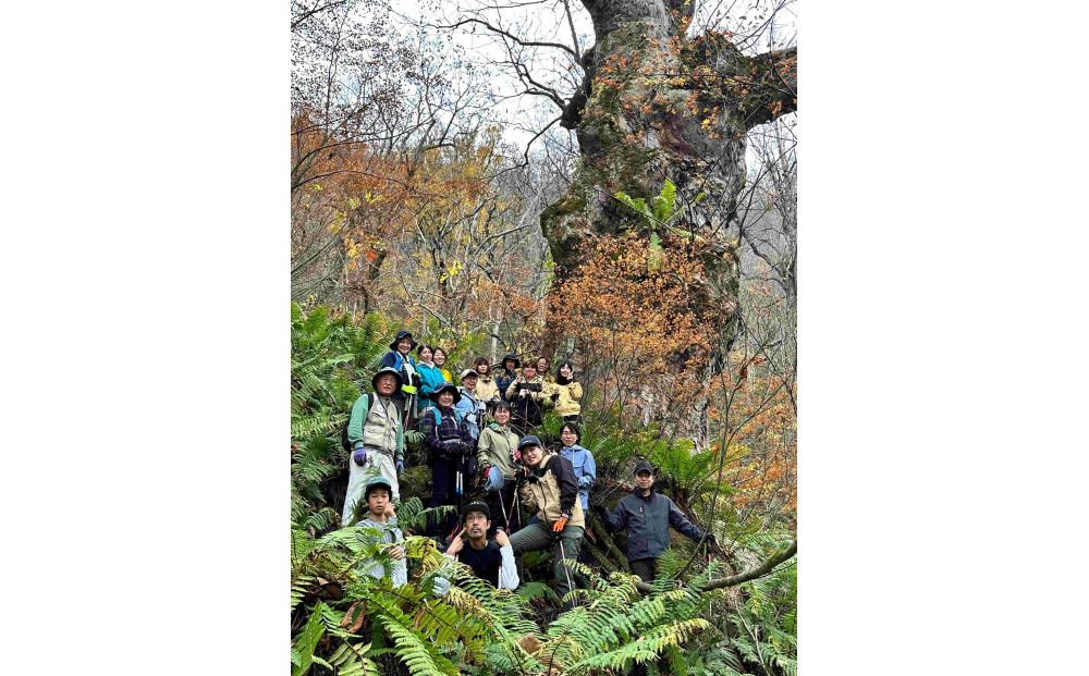 【津南町森林組合】まる1日津南体験（広葉樹植栽体験と津南ジオパークトレッキング体験）1名様127525-005