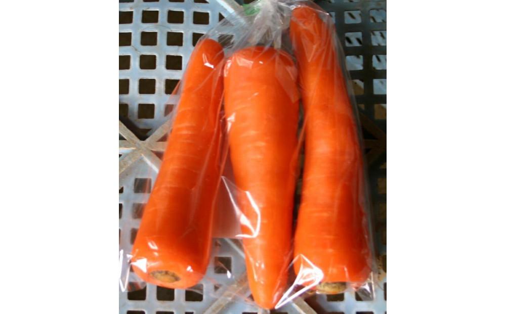 【令和8年産 先行予約】雪国ならではの逸品！津南町の雪下にんじん 3kg 15?20本 127524-088