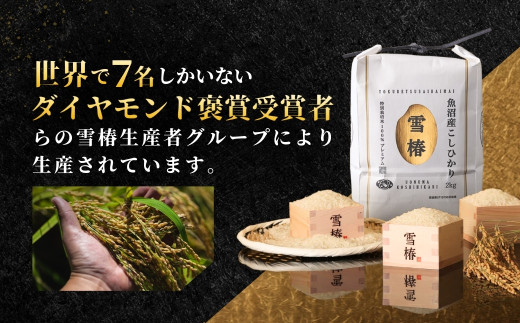 【2025年産新米】最高級魚沼産コシヒカリ「雪椿」450g×5袋 特別栽培米127527-006