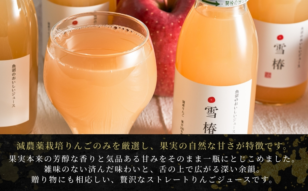 魚沼のおいしいりんごジュース 雪椿 20本×1セット 127527-036