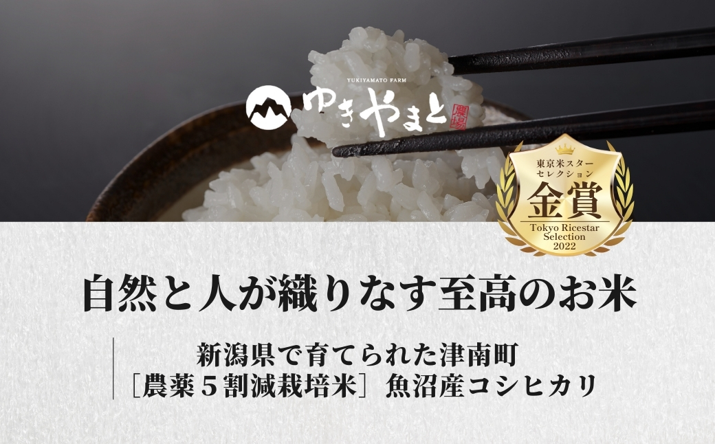 【3ヶ月定期便】【令和7年産】魚沼産  特別栽培米 コシヒカリ「ゆきやまと」5kg (5kg×1袋) ※節減対象農薬当地比5割減 ※東京米スターセレクション金賞受賞 127537-003