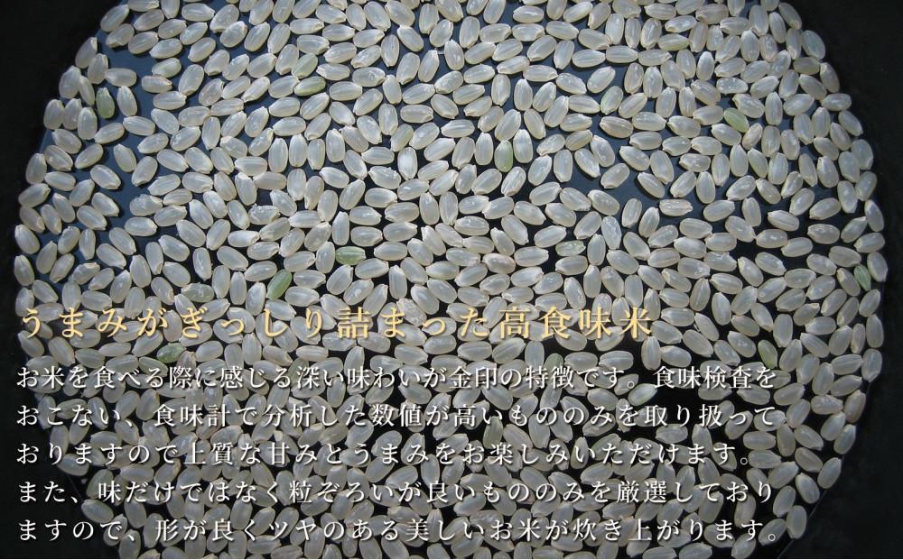 【12ヶ月定期便】令和7年産 魚沼産コシヒカリ「金印」高食味米 5kg×全12回127534-023