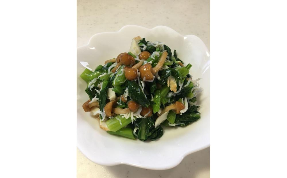 【津南町森林組合】きのこセット（8種 約1600g）127525-001