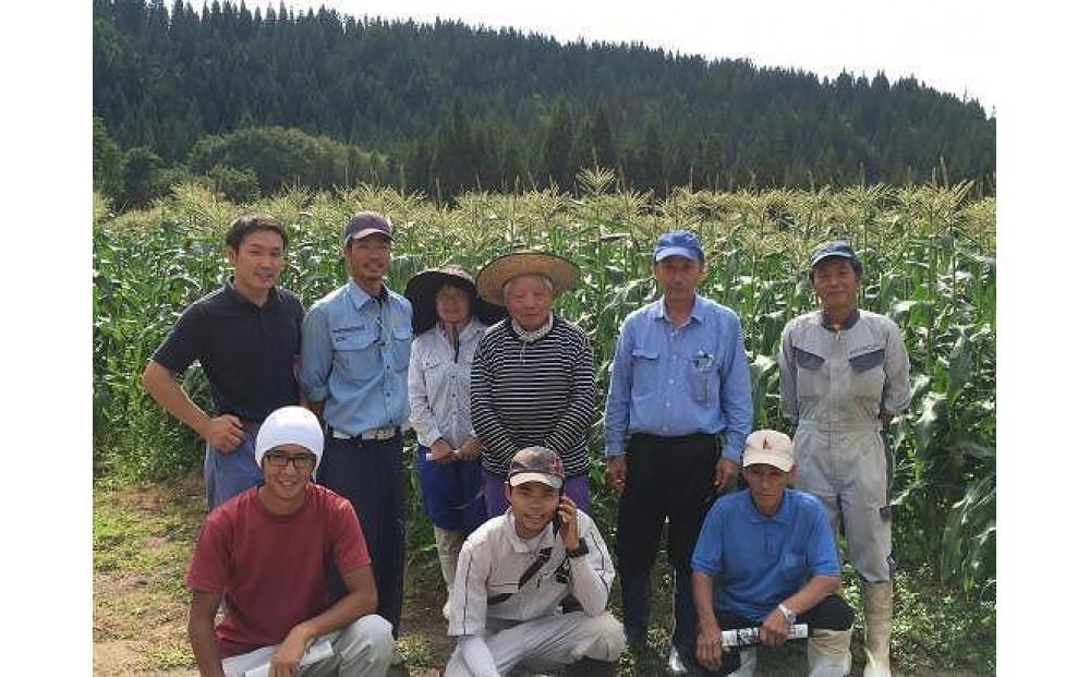 【令和8年産 先行予約】朝採りスイートコーン 2Lサイズ 5本（1本約400g）127524-161