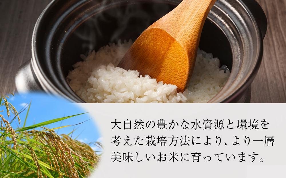 【令和7年産新米予約】 魚沼産コシヒカリ特別栽培米 「雪美人」 （5kg）129400-001