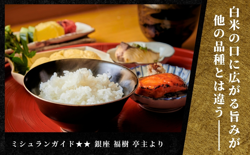 【数量限定・特別寄附額】【令和7年産】魚沼産コシヒカリ 雪椿 5kg 特別栽培米 127527-009-sub