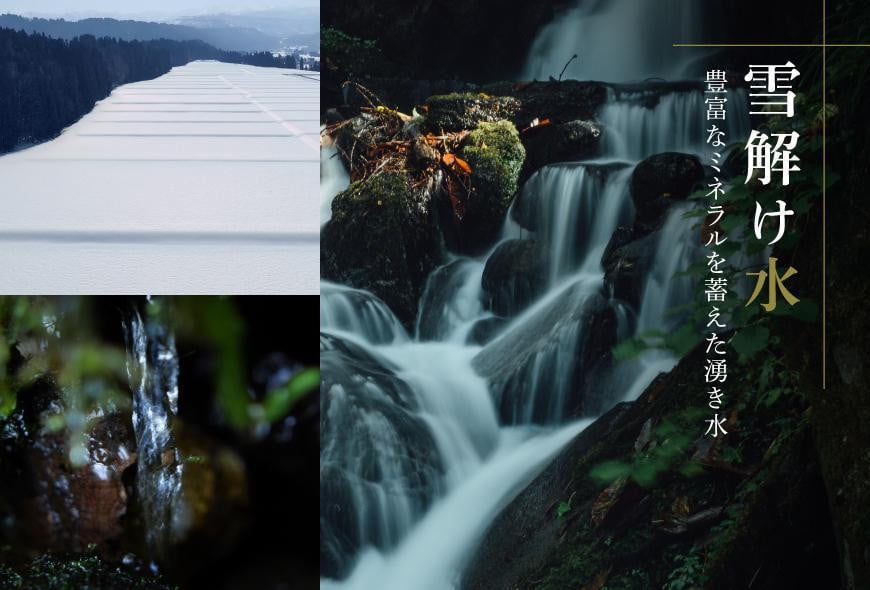 【令和7年産】魚沼産コシヒカリ 雪椿 5kg 特別栽培米 化粧箱入り127527-022-sub