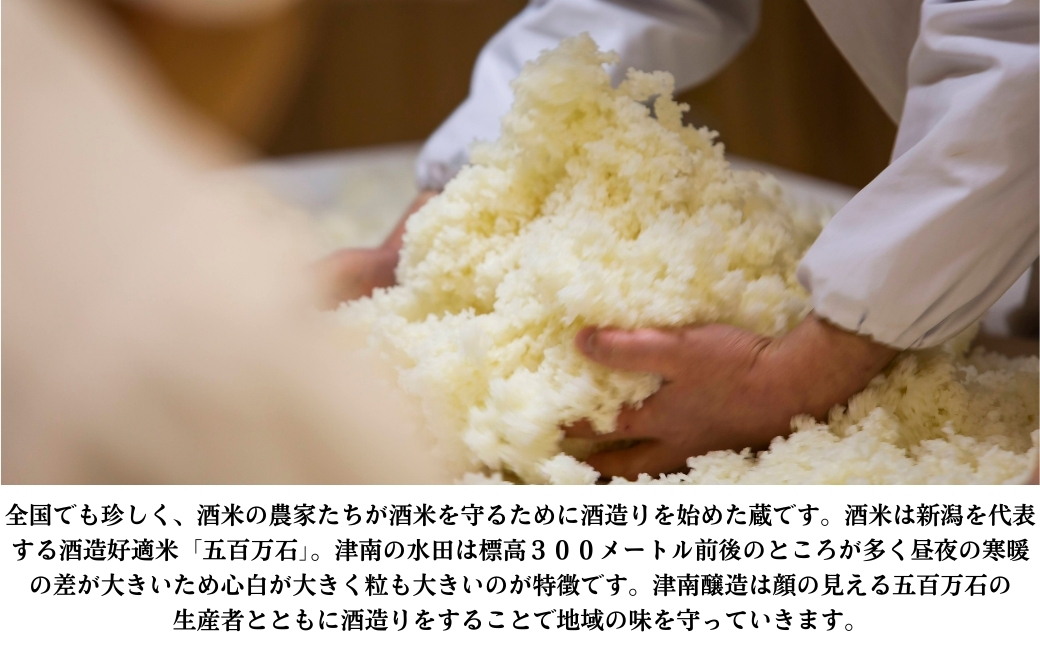 つなん 藍  吟醸酒 720ml×1本 【令和6酒造年度 関東信越国税局酒類鑑評会 優秀賞受賞】| 津南醸造 新潟  127528-023