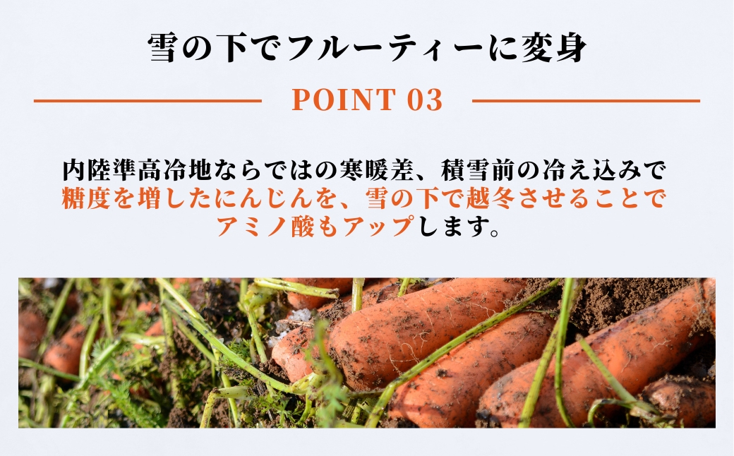 【令和8年産先行予約】津南の雪下にんじん 7kg 新潟県 津南町 旭商事株式会社 127531-014